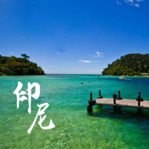印度尼西亚国际机场广告
