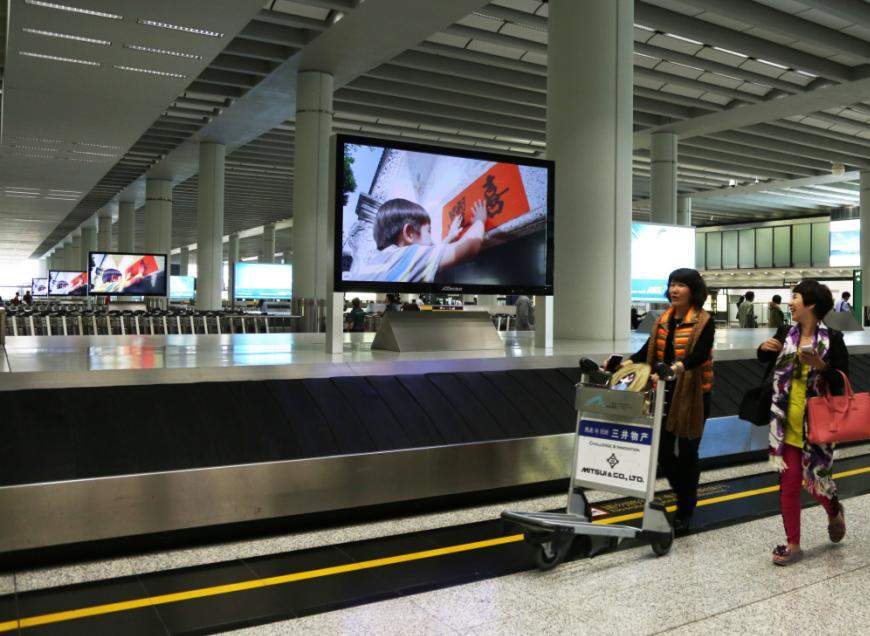 Digital Baggage Reclaim Network (11)